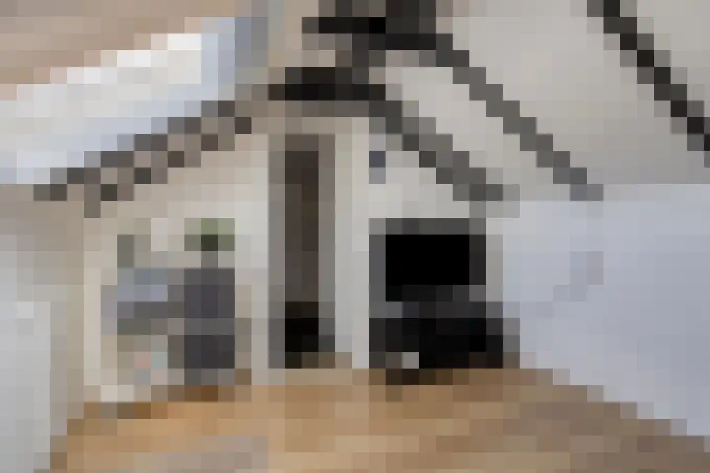 Jacob Catsstraat 106 Barneveld thumbnail 31