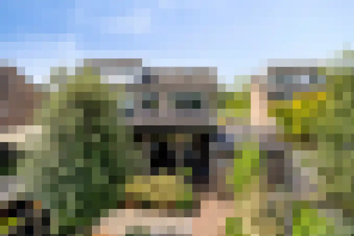 Jacob Catsstraat 106 Barneveld thumbnail 32