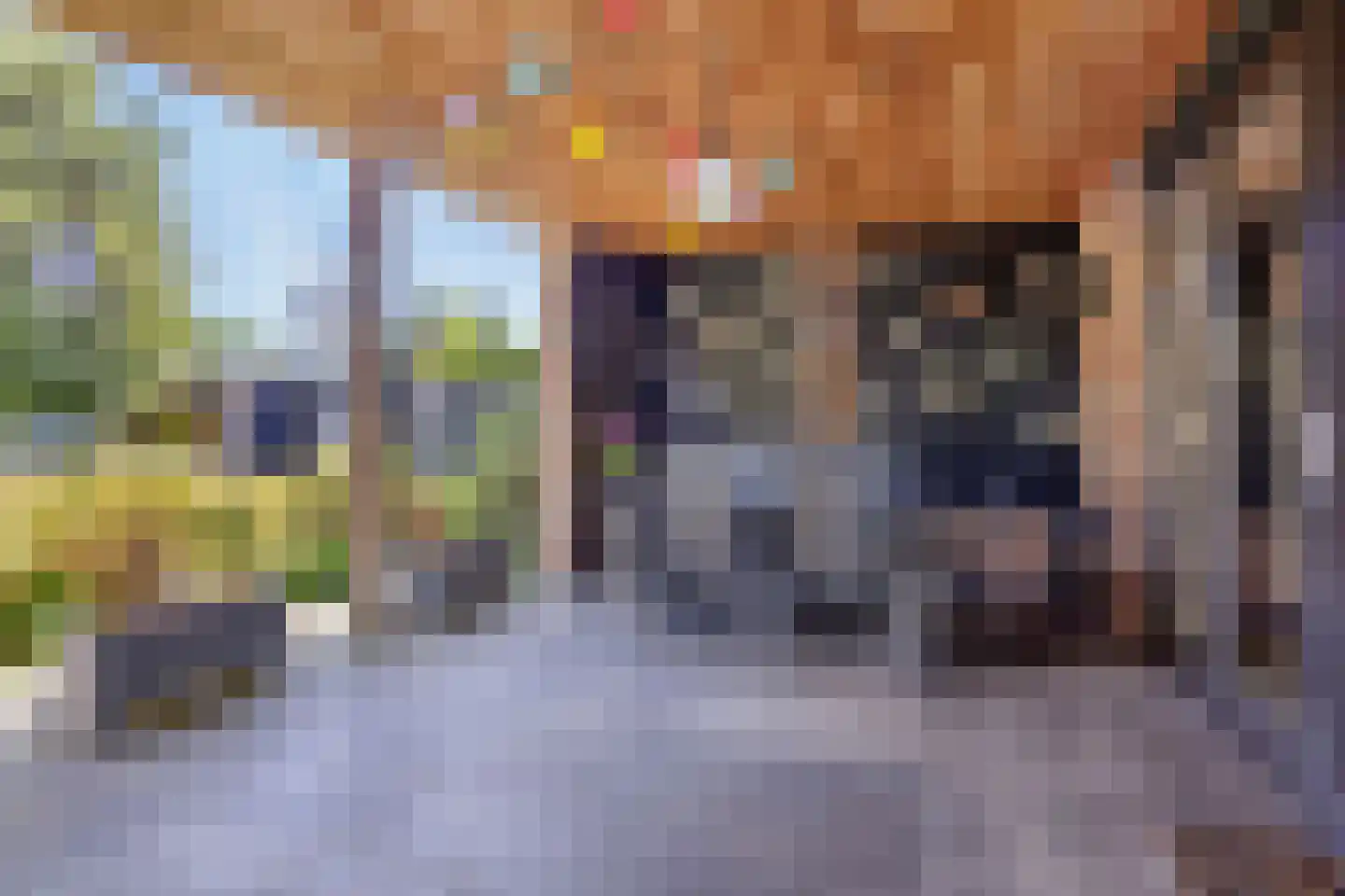 Jacob Catsstraat 106 Barneveld thumbnail 33