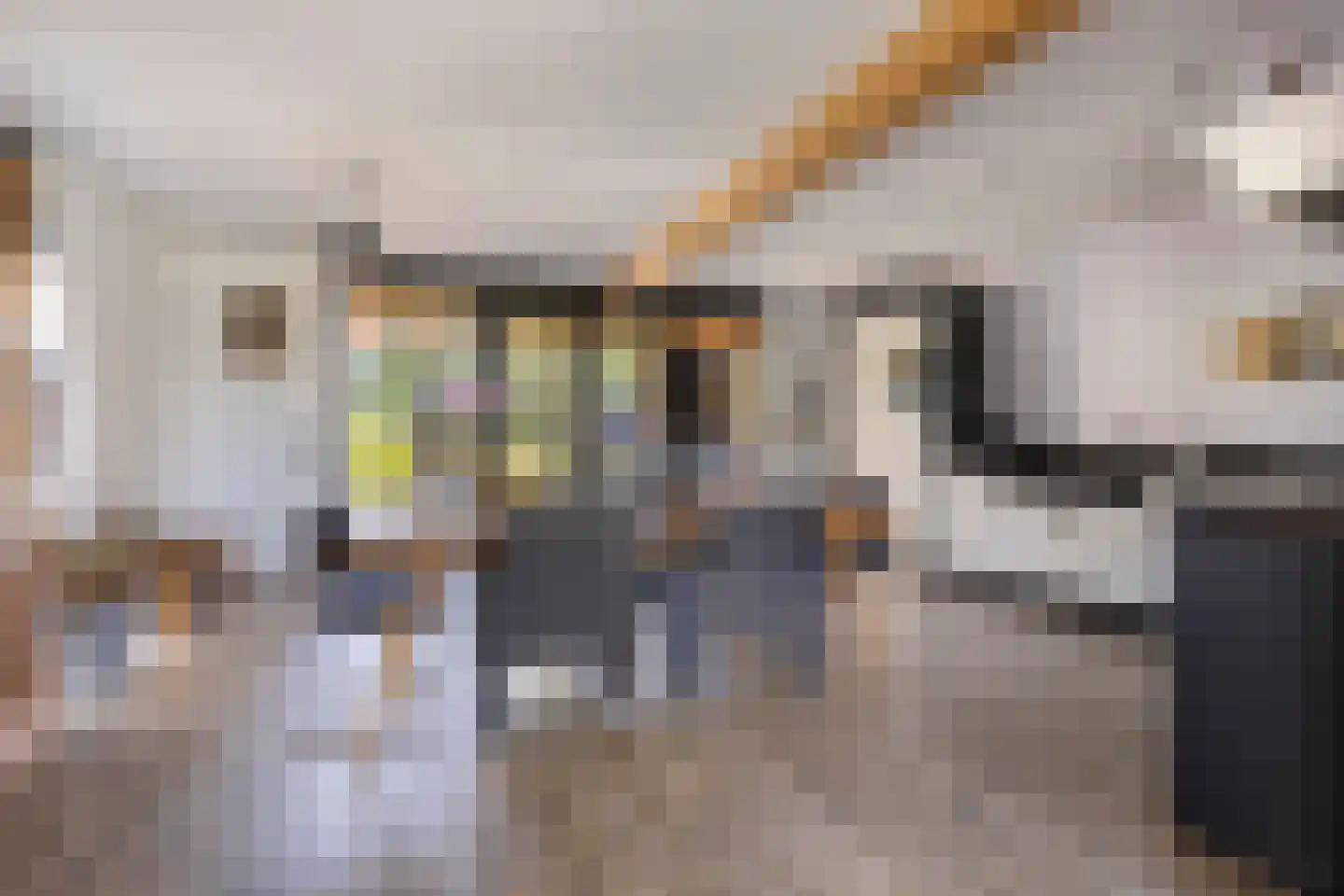 Jacob Catsstraat 106 Barneveld thumbnail 4