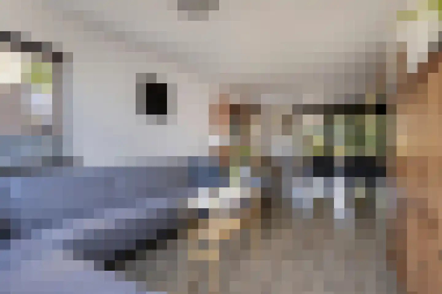 Jacob Catsstraat 106 Barneveld thumbnail 6