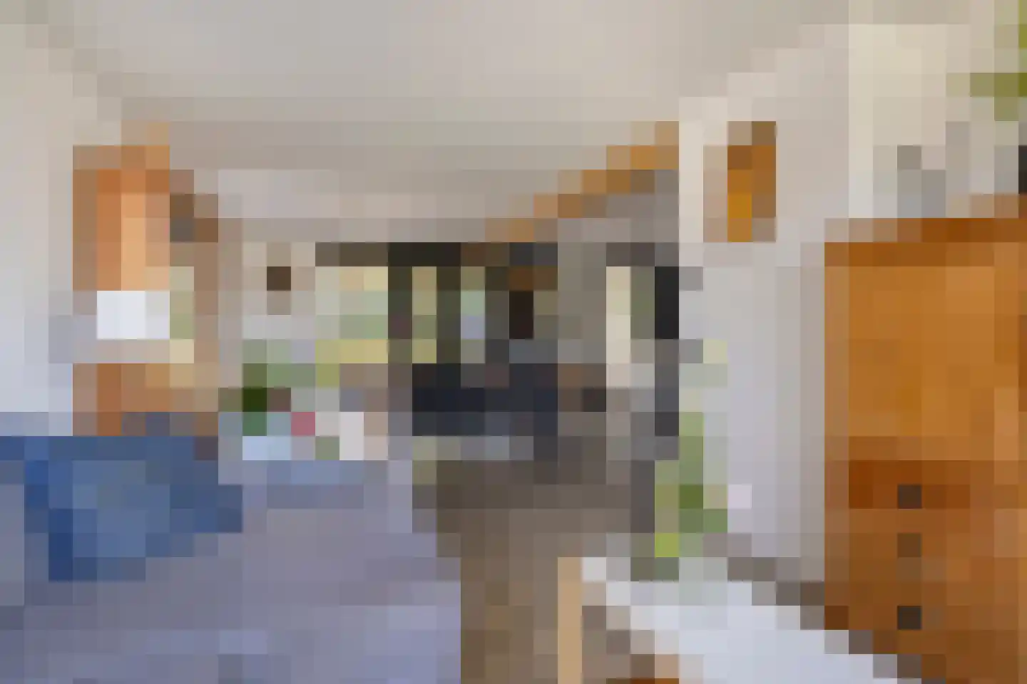 Jacob Catsstraat 106 Barneveld thumbnail 7