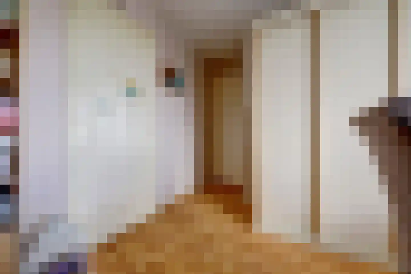 Jacob Catsstraat 11 Spijkenisse thumbnail 17