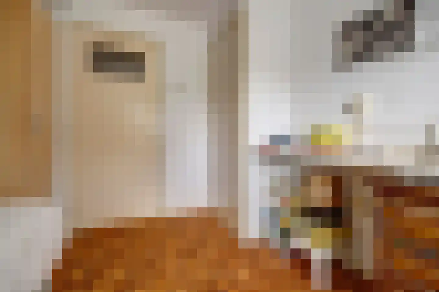 Jacob Catsstraat 11 Spijkenisse thumbnail 19