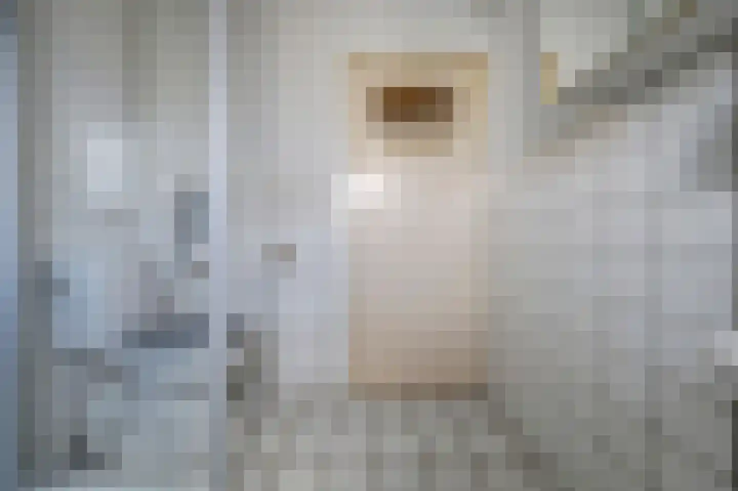Jacob Catsstraat 11 Spijkenisse thumbnail 22
