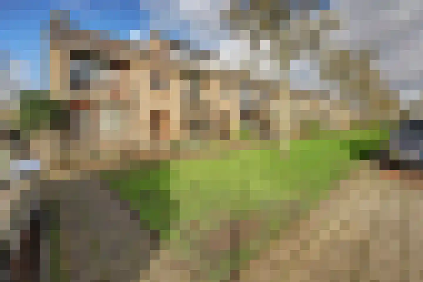 Jacob Catsstraat 11 Spijkenisse thumbnail 37