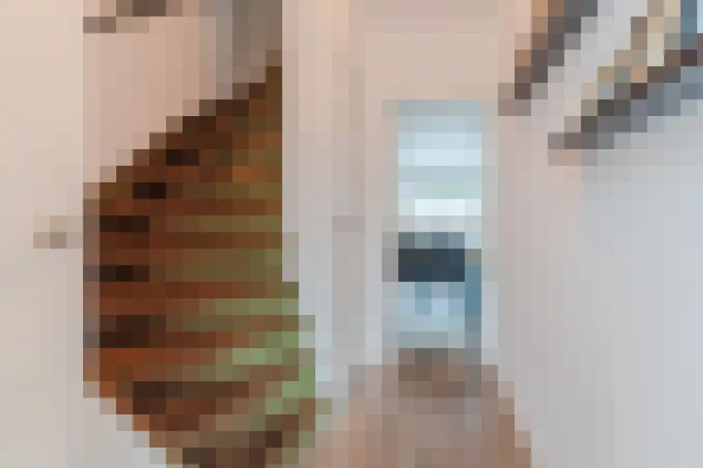 Jacob Catsstraat 11 Waalwijk thumbnail 10