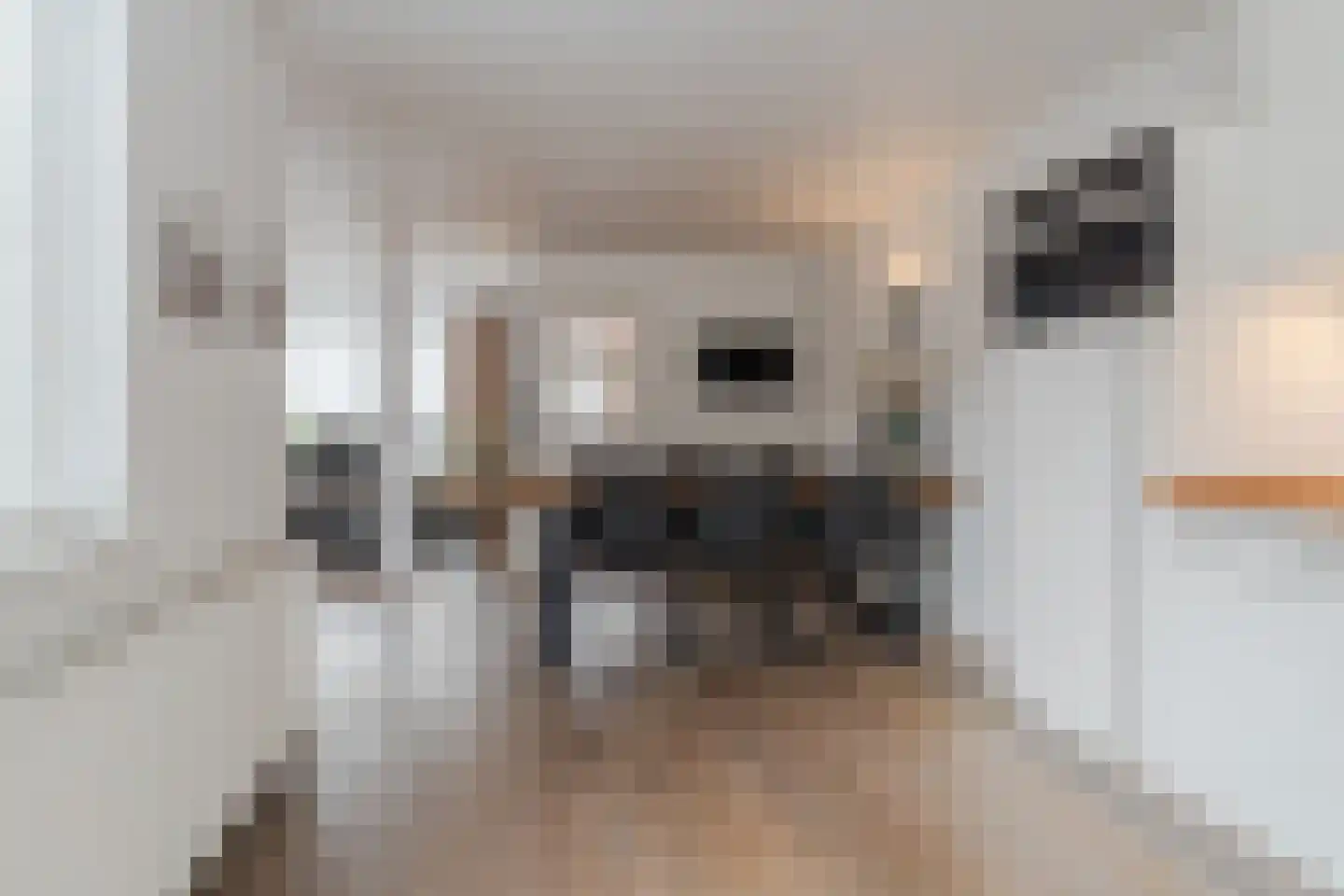 Jacob Catsstraat 11 Waalwijk thumbnail 17