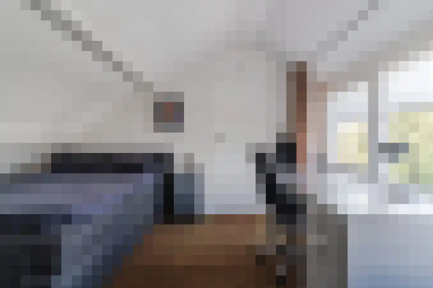 Jacob Catsstraat 11 Waalwijk thumbnail 35