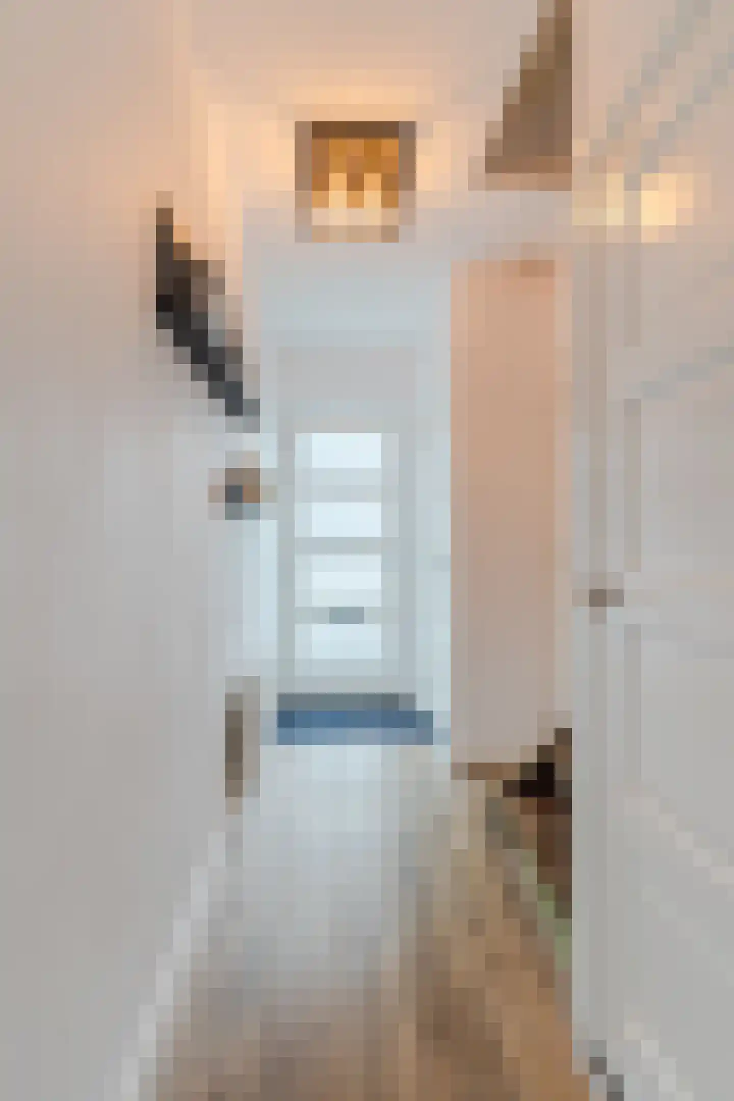 Jacob Catsstraat 11 Waalwijk thumbnail 9
