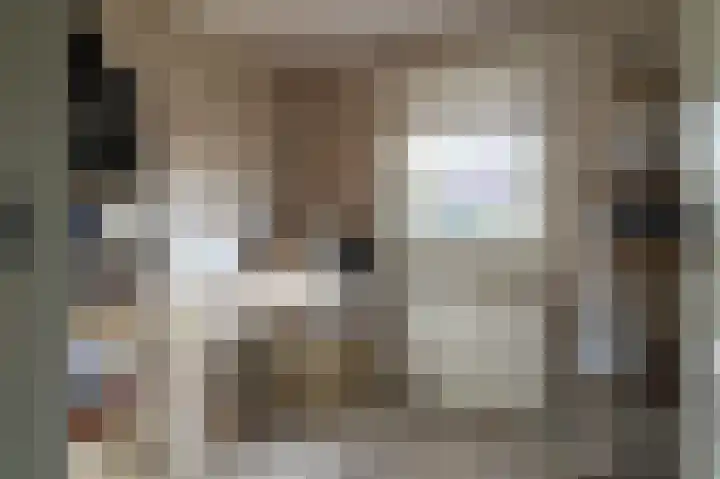 Jacob Catsstraat 12 Barneveld thumbnail 31