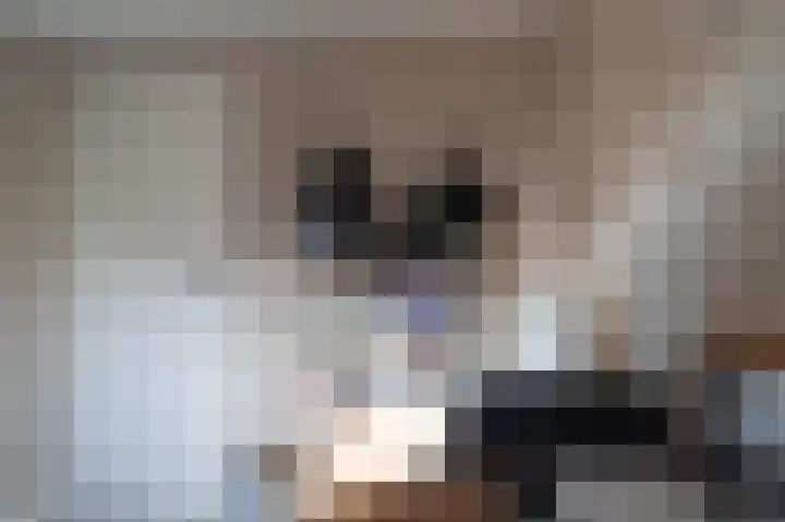 Jacob Catsstraat 12 Barneveld thumbnail 32
