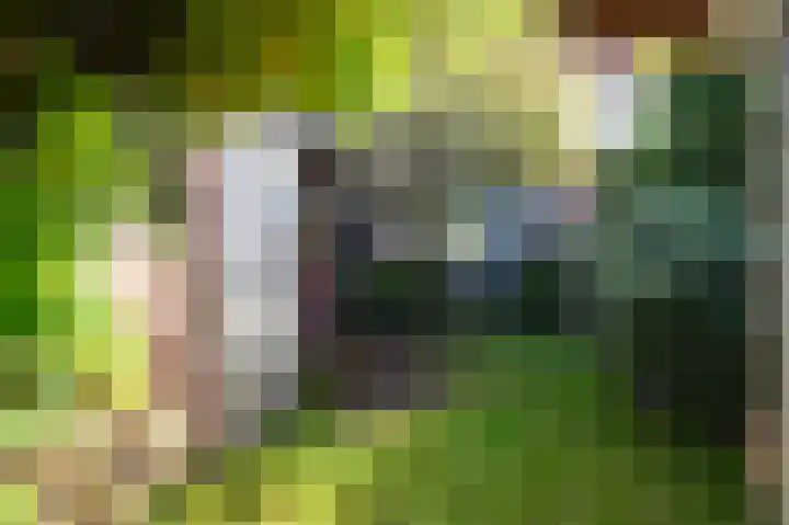 Jacob Catsstraat 12 Barneveld thumbnail 43