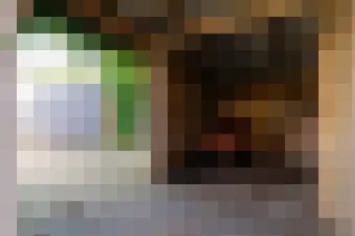 Jacob Catsstraat 12 Barneveld thumbnail 47