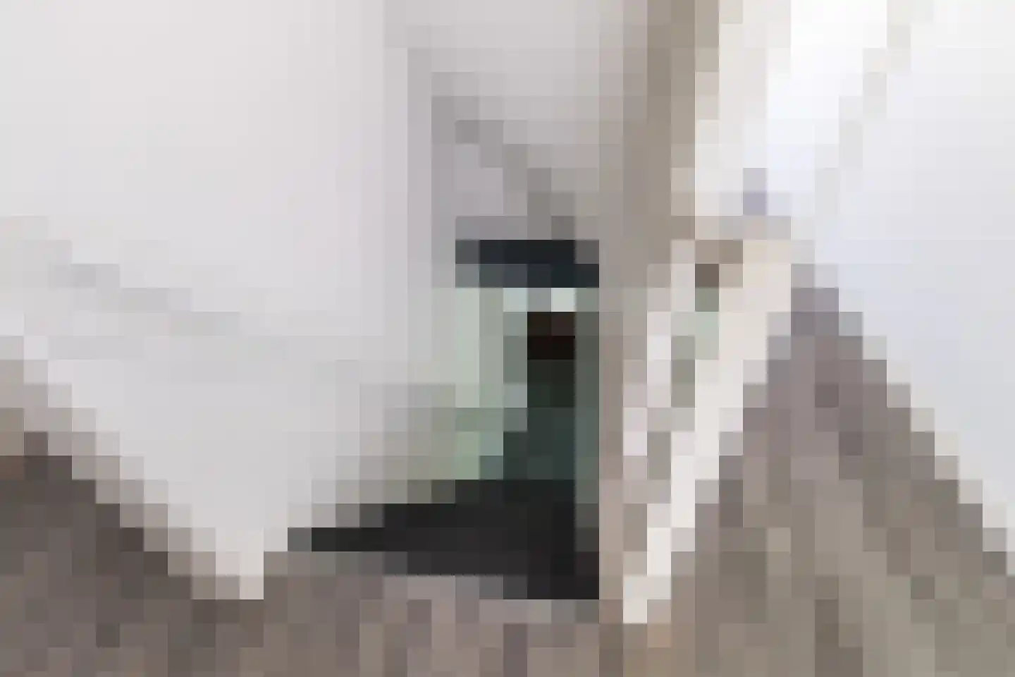 Jacob Catsstraat 126 Dordrecht thumbnail 7