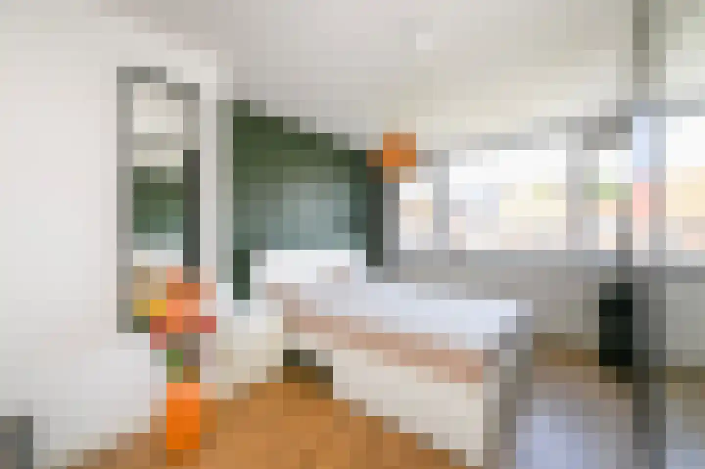 Jacob Catsstraat 126 Voorburg thumbnail 23