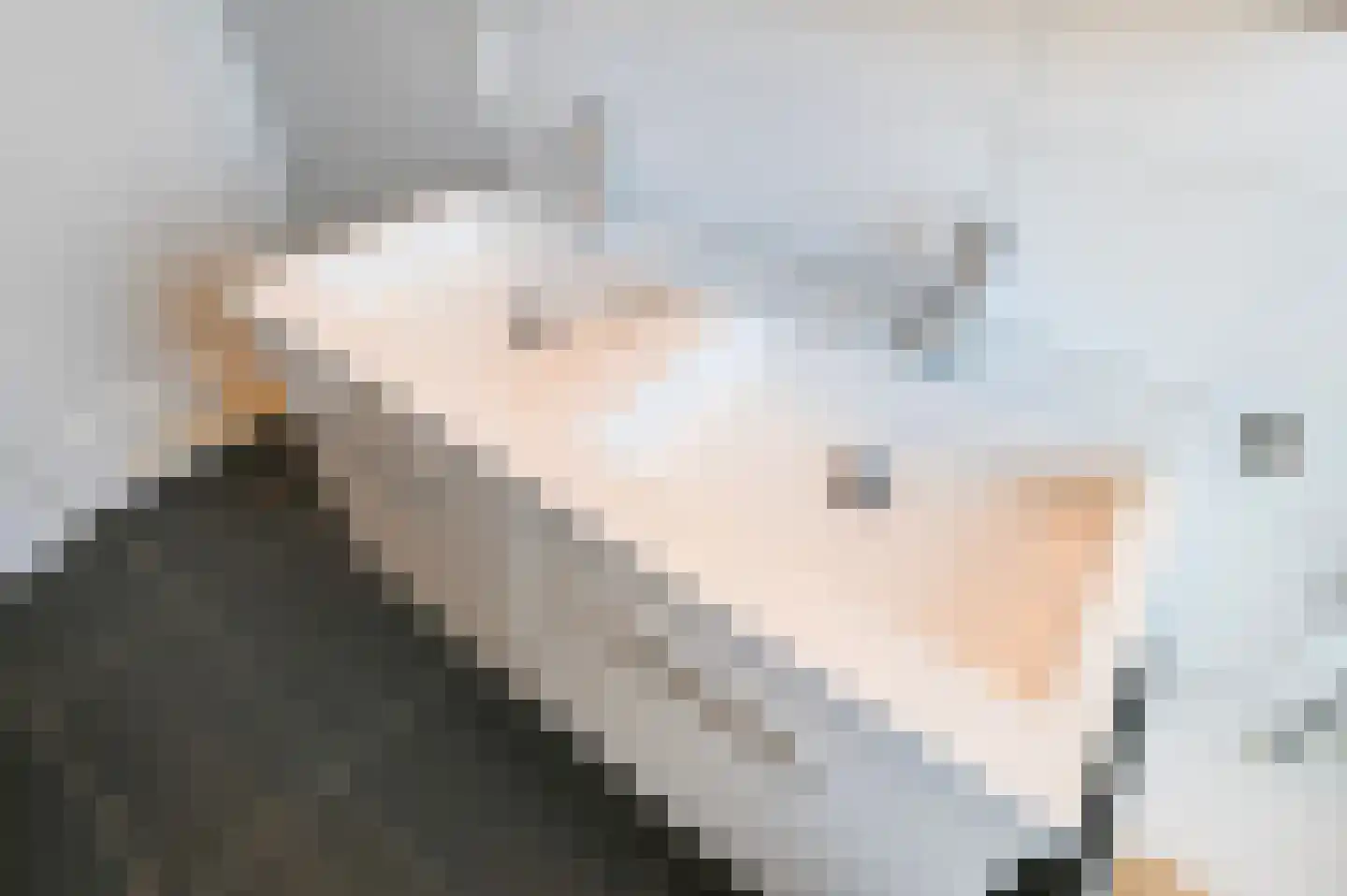 Jacob Catsstraat 126 Voorburg thumbnail 29