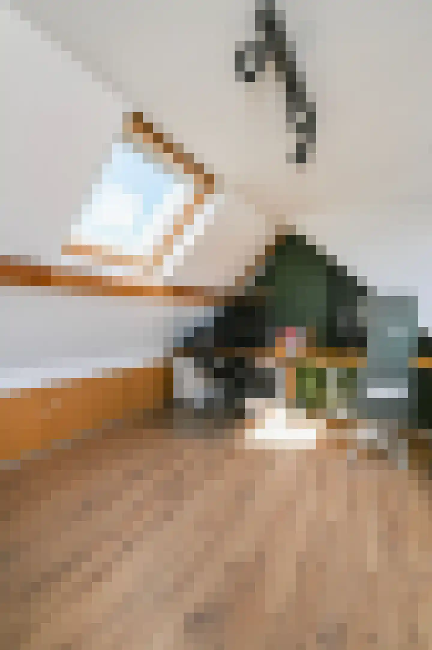 Jacob Catsstraat 126 Voorburg thumbnail 33