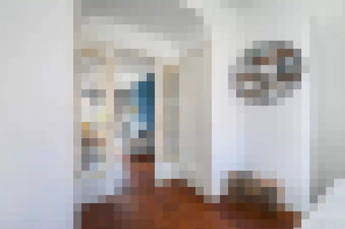 Jacob Catsstraat 126 Voorburg thumbnail 7