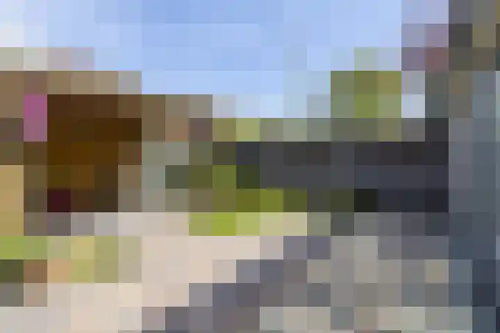 Jacob Catsstraat 13 Heemskerk thumbnail 12