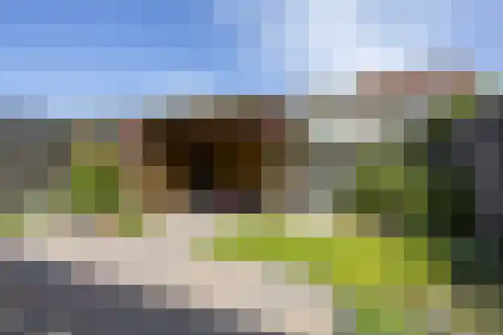 Jacob Catsstraat 13 Heemskerk thumbnail 13