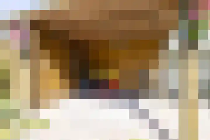 Jacob Catsstraat 13 Heemskerk thumbnail 14