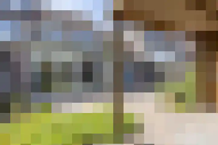 Jacob Catsstraat 13 Heemskerk thumbnail 15