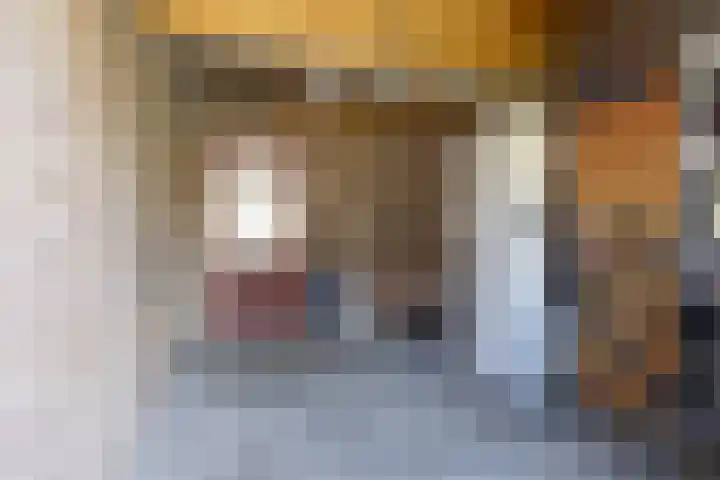 Jacob Catsstraat 13 Heemskerk thumbnail 31