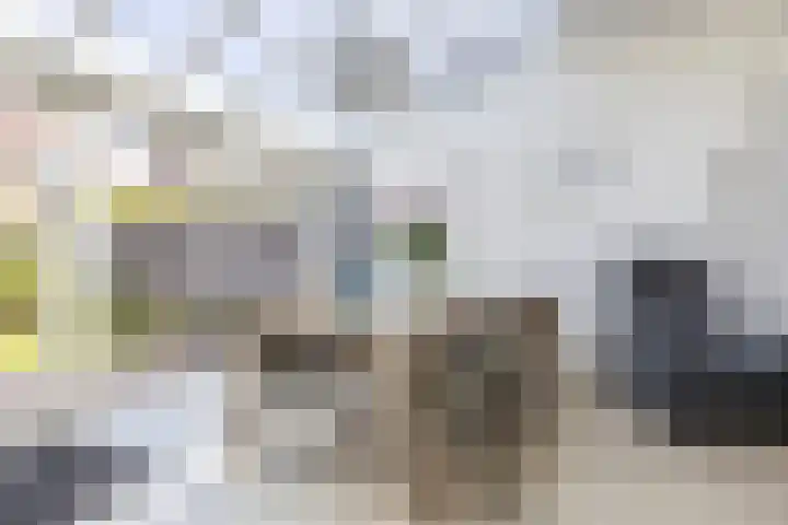 Jacob Catsstraat 13 Heemskerk thumbnail 5