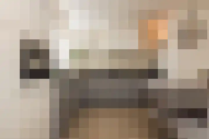Jacob Catsstraat 13 Katwijk thumbnail 7