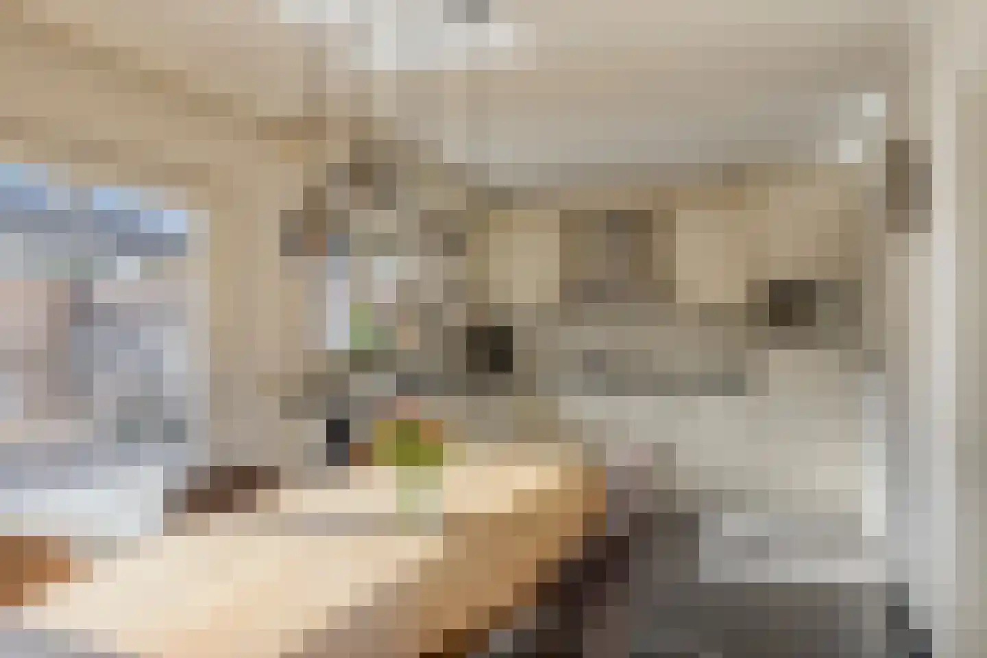 Jacob Catsstraat 13 Oldenzaal thumbnail 10