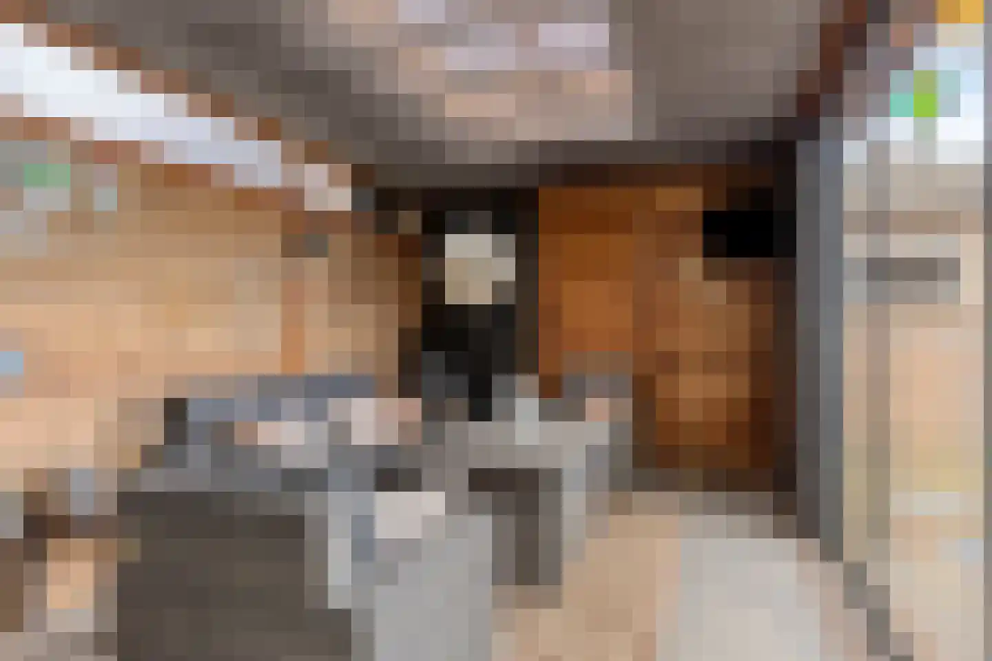 Jacob Catsstraat 13 Oldenzaal thumbnail 25