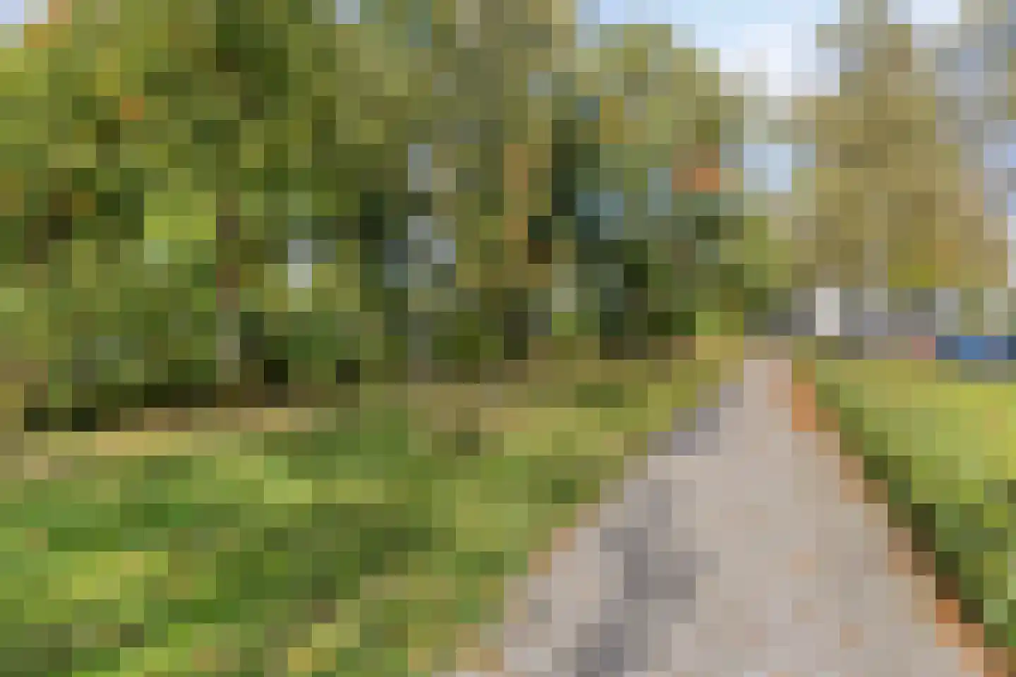 Jacob Catsstraat 13 Oldenzaal thumbnail 31