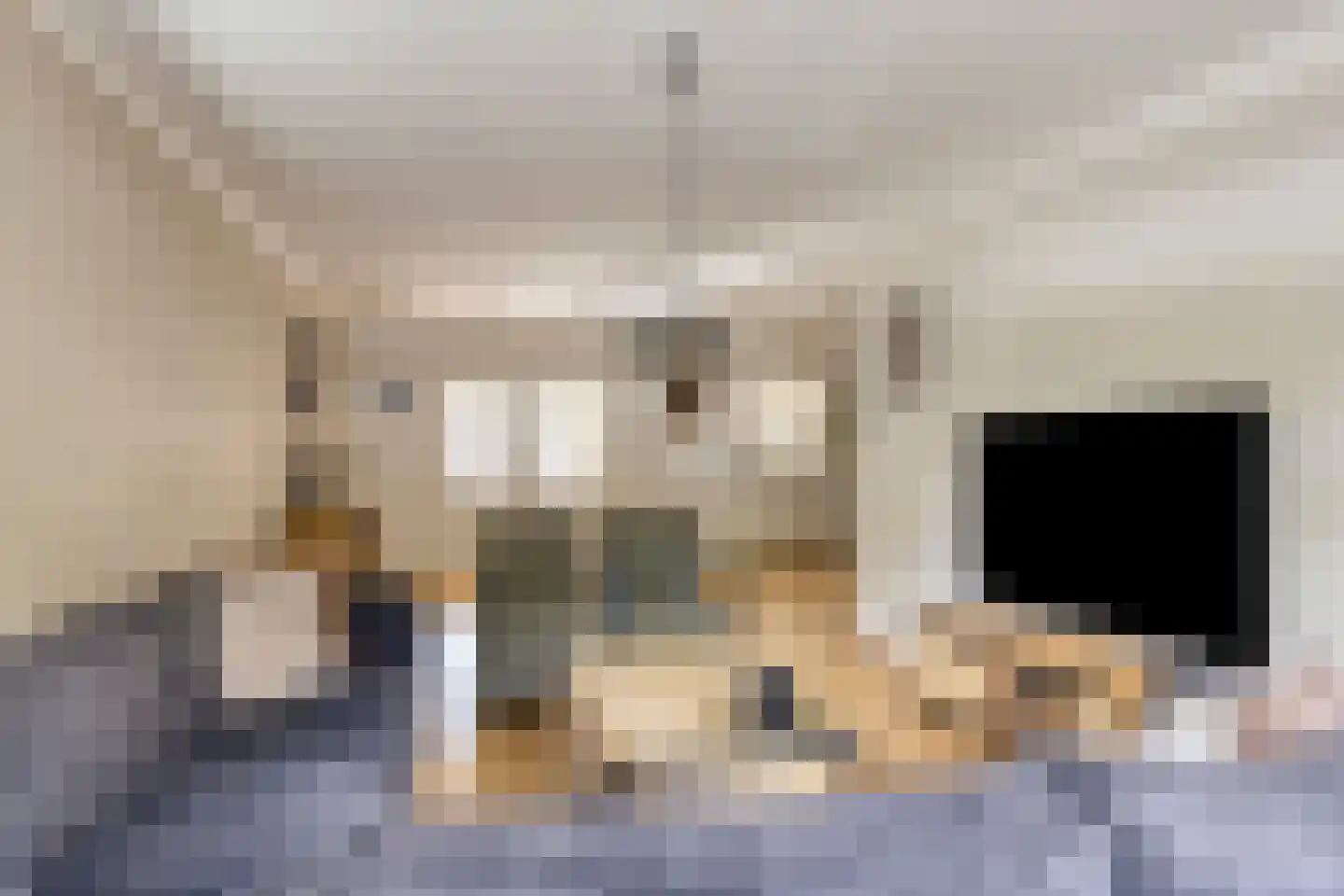 Jacob Catsstraat 13 Oldenzaal thumbnail 7