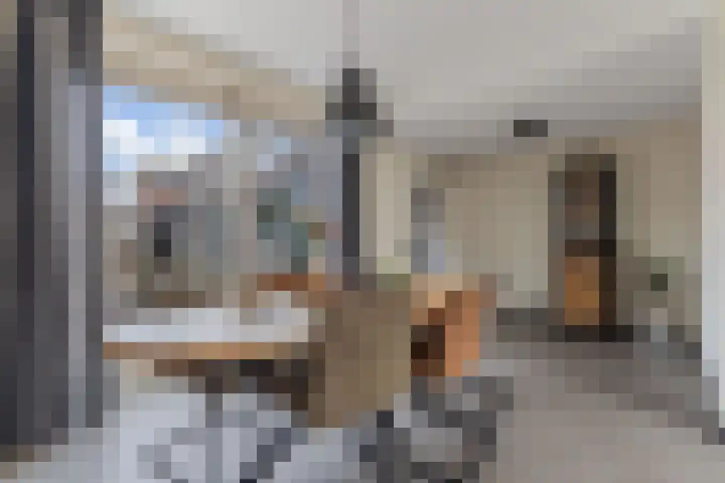 Jacob Catsstraat 14 Steenwijk thumbnail 10