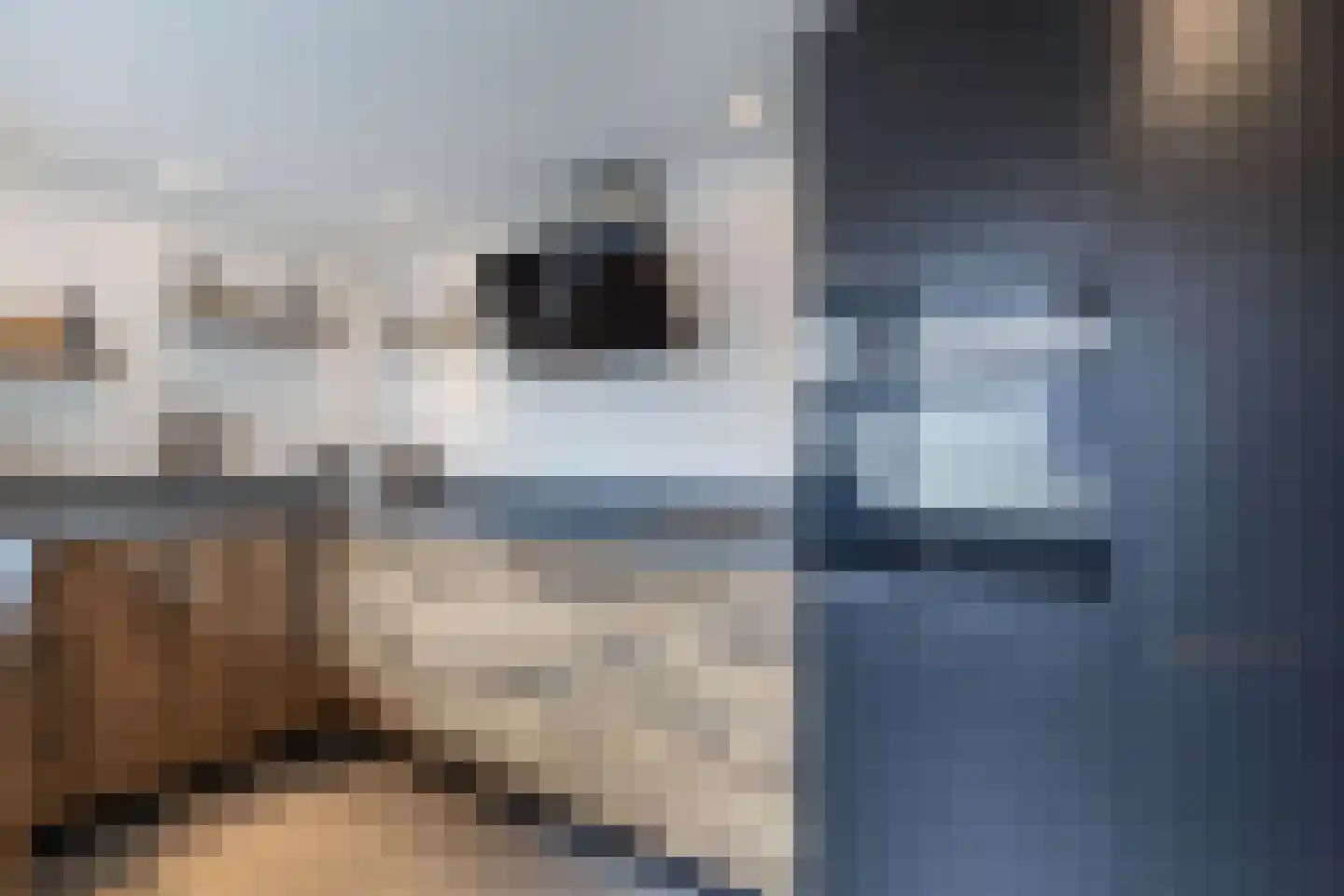 Jacob Catsstraat 14 Steenwijk thumbnail 12