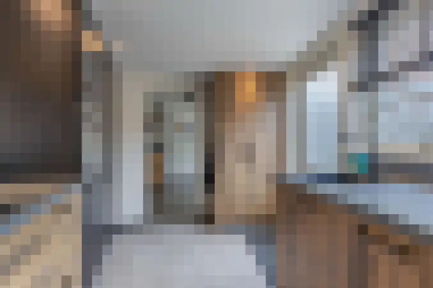 Jacob Catsstraat 14 Steenwijk thumbnail 13