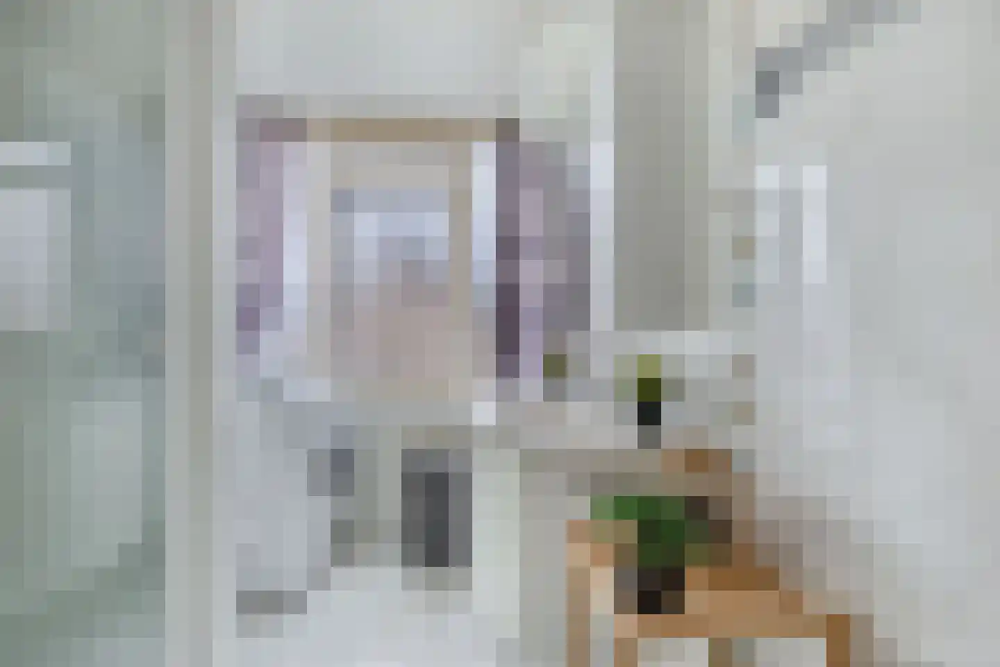 Jacob Catsstraat 14 Steenwijk thumbnail 18