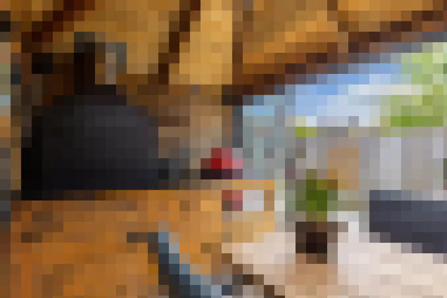 Jacob Catsstraat 14 Steenwijk thumbnail 32