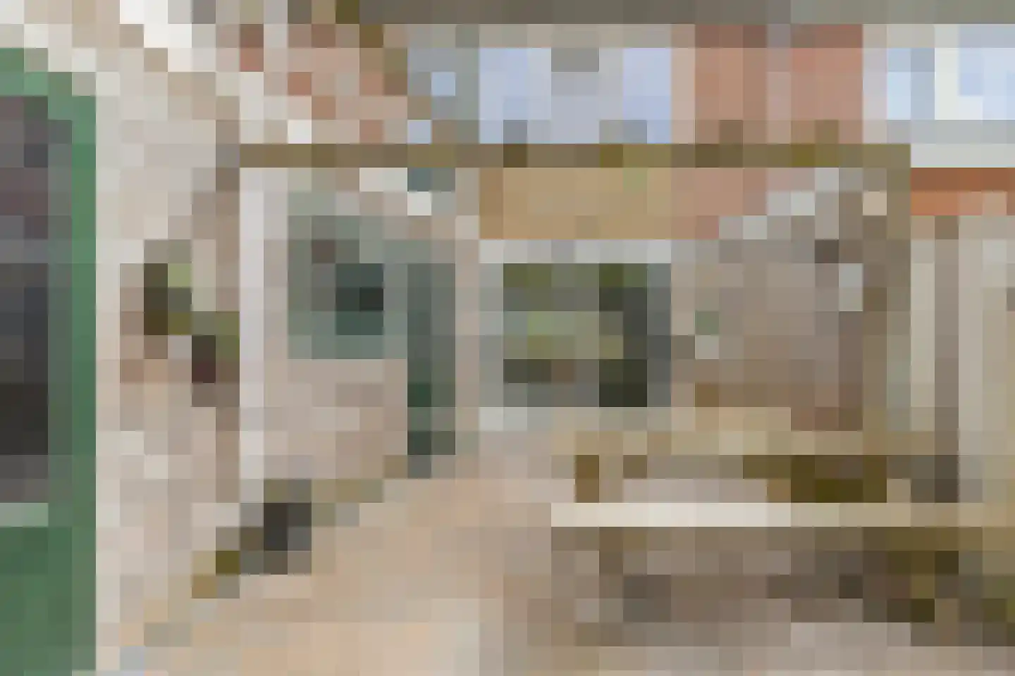Jacob Catsstraat 14 Steenwijk thumbnail 34
