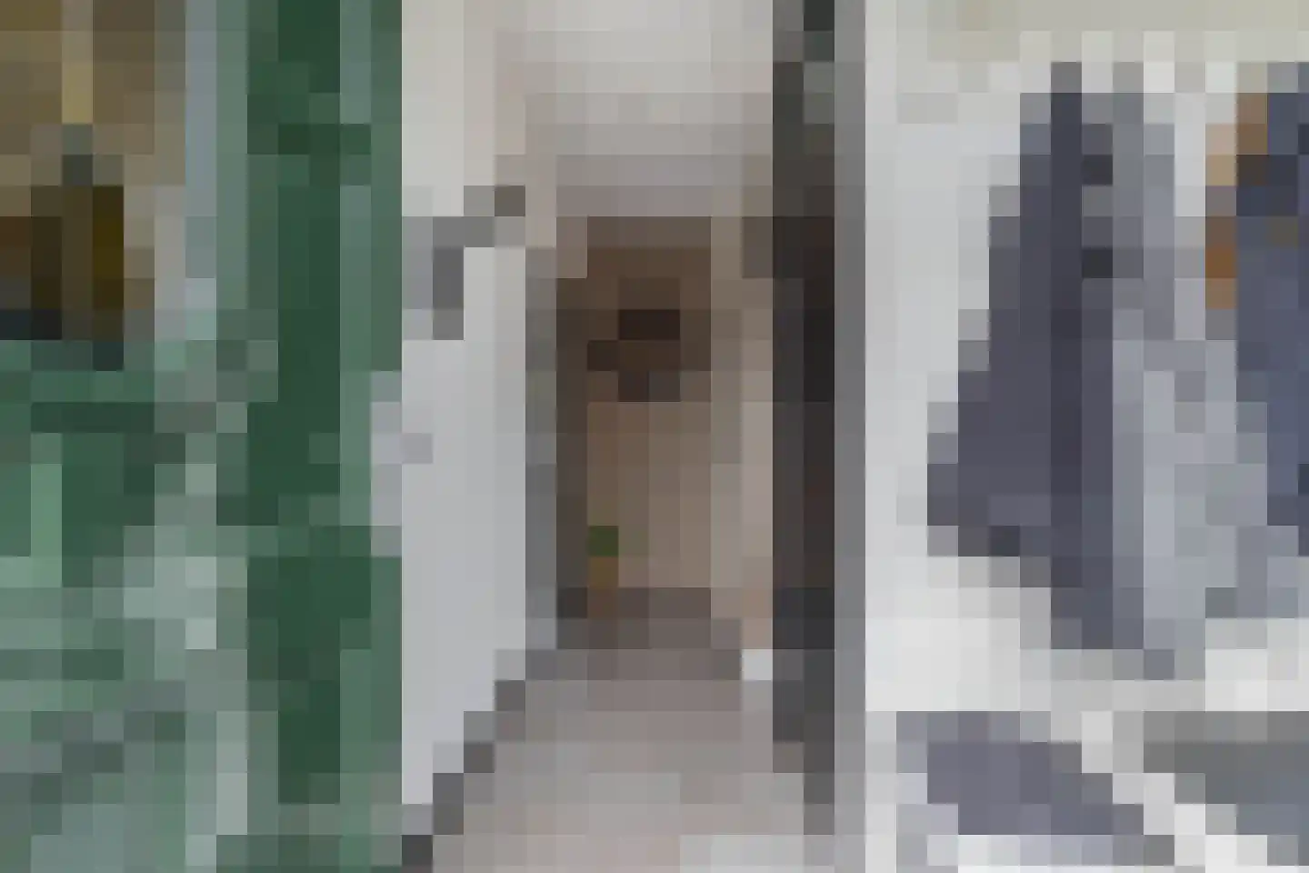 Jacob Catsstraat 14 Steenwijk thumbnail 4