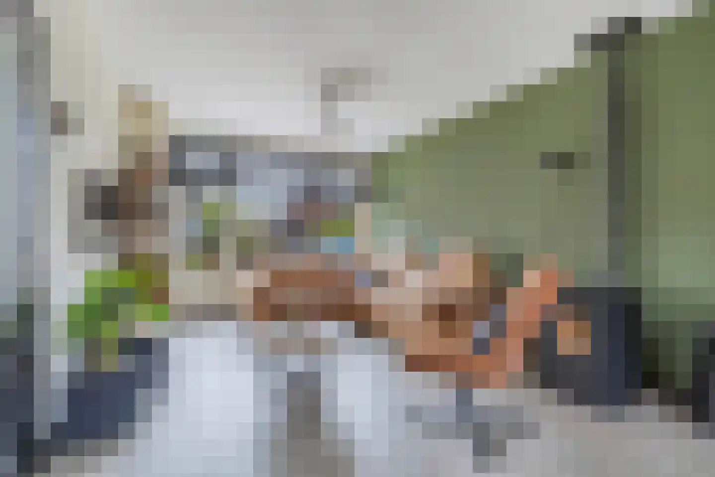 Jacob Catsstraat 14 Steenwijk thumbnail 6