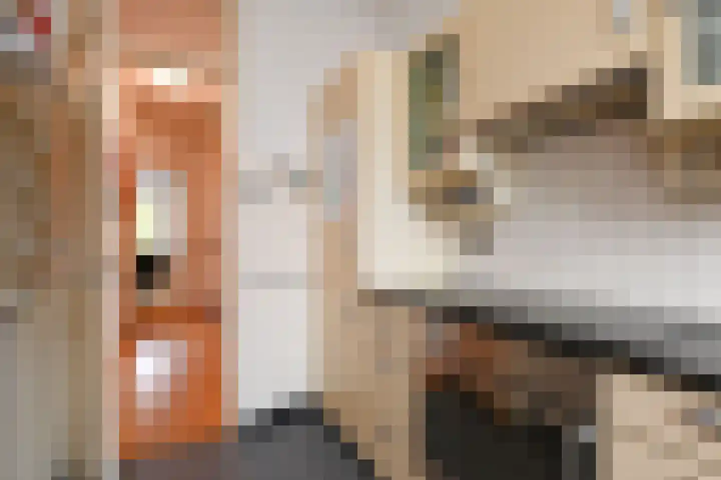 Jacob Catsstraat 142 Voorburg thumbnail 11
