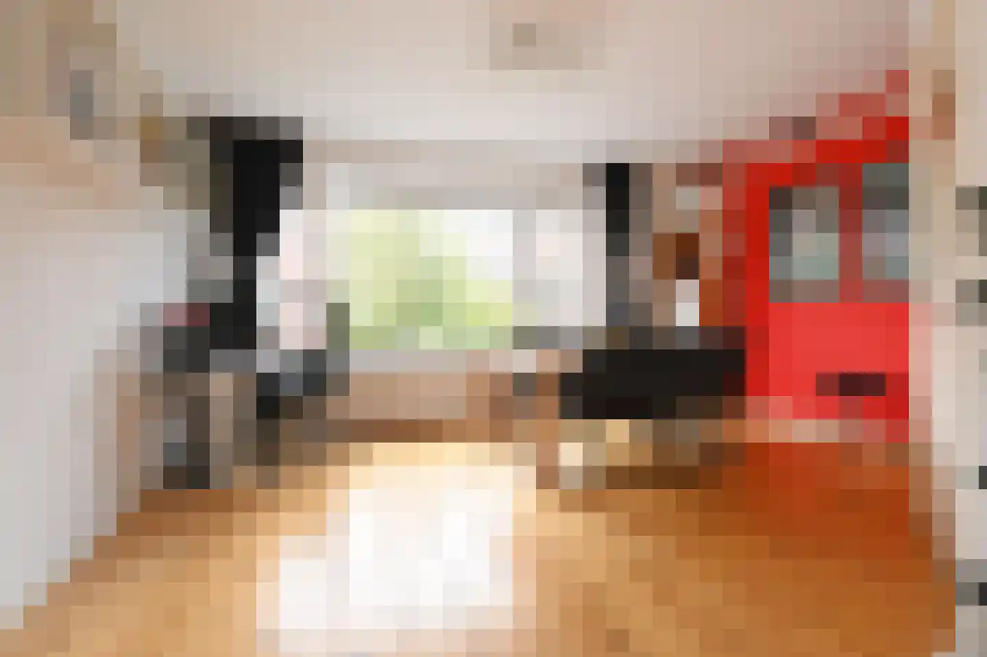 Jacob Catsstraat 142 Voorburg thumbnail 16