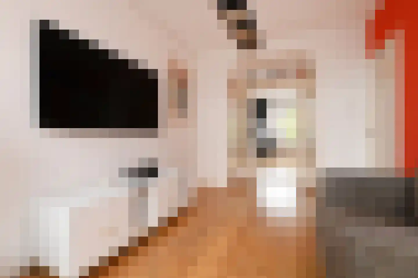 Jacob Catsstraat 142 Voorburg thumbnail 23