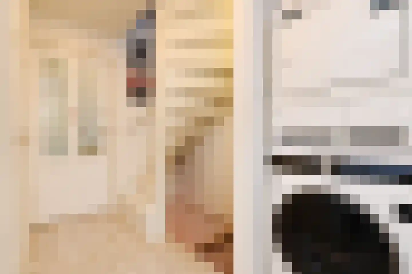 Jacob Catsstraat 142 Voorburg thumbnail 27