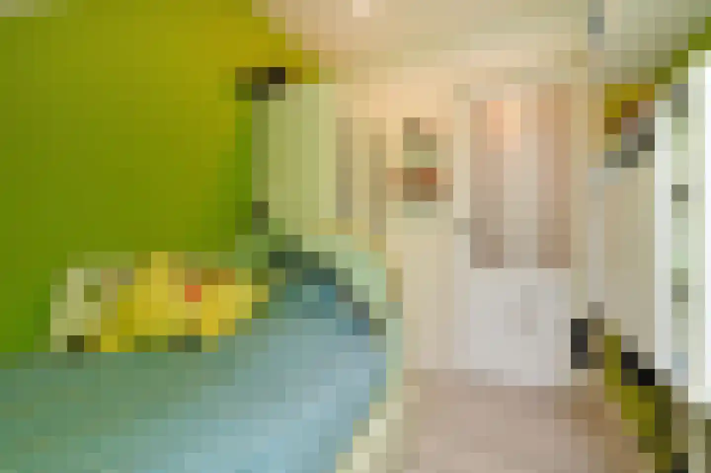Jacob Catsstraat 142 Voorburg thumbnail 31