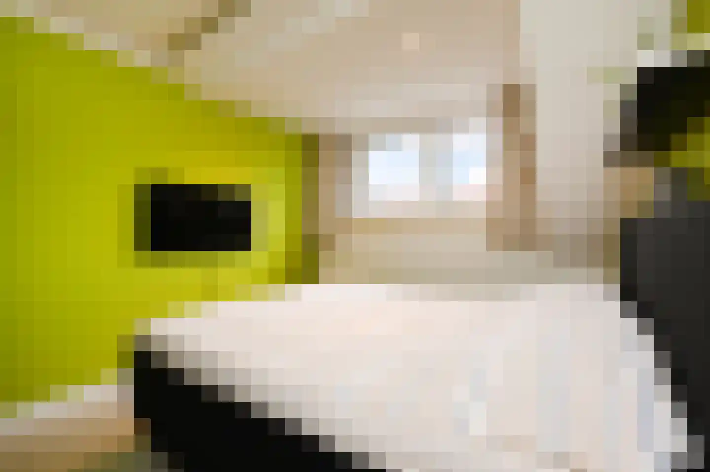 Jacob Catsstraat 142 Voorburg thumbnail 32
