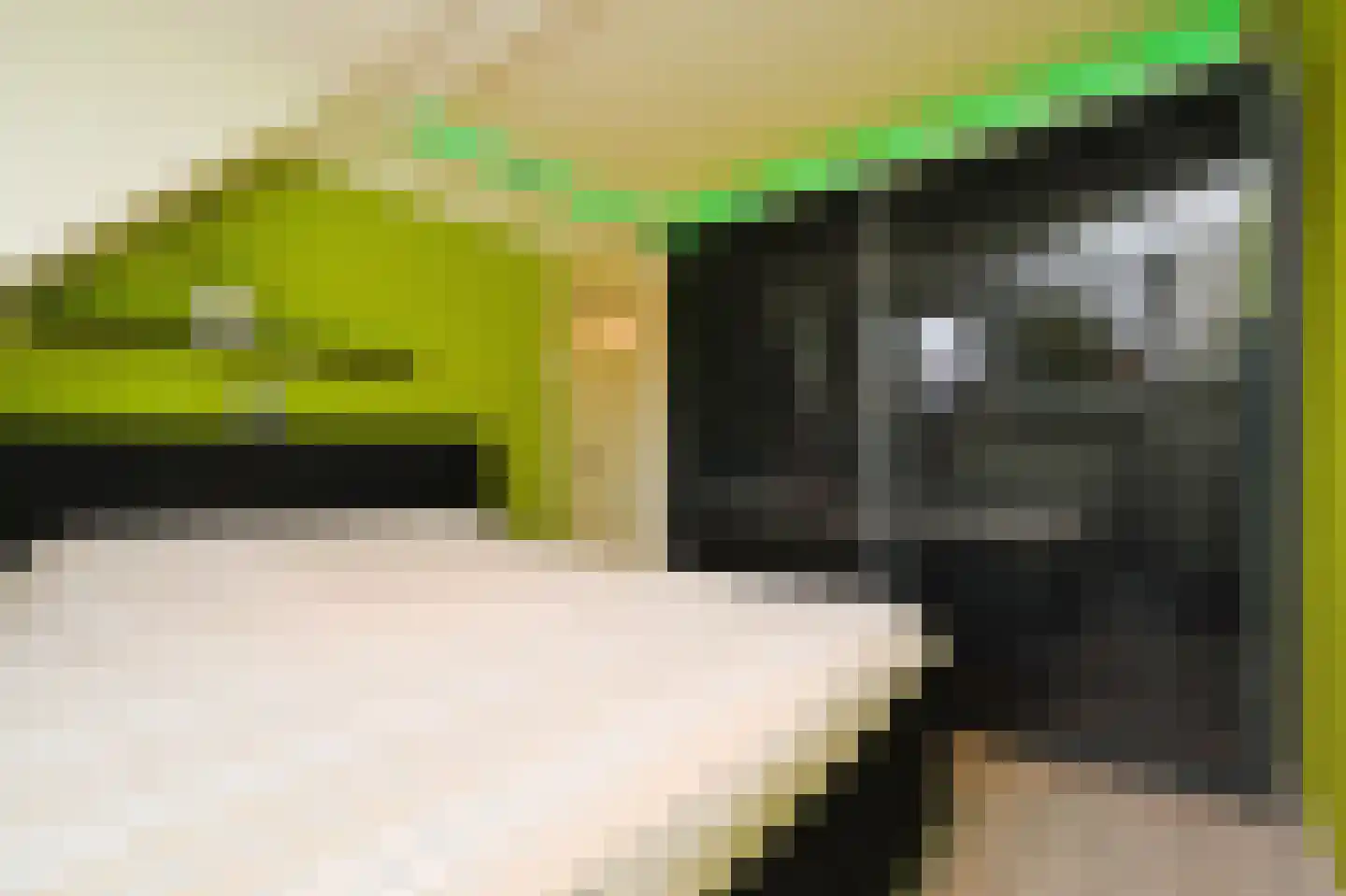 Jacob Catsstraat 142 Voorburg thumbnail 33