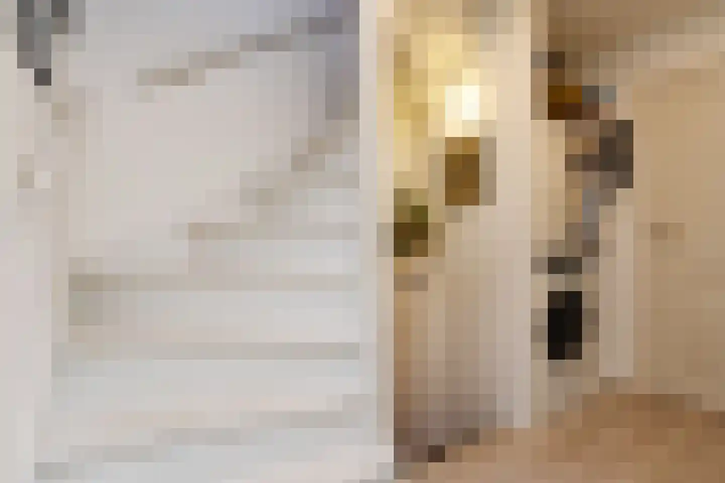 Jacob Catsstraat 142 Voorburg thumbnail 36